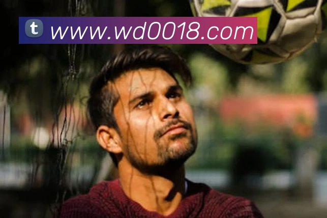 App Interface Preview